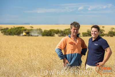 November 2017 / HARVEST_TUMBY_AM_153_171121_TRP8484