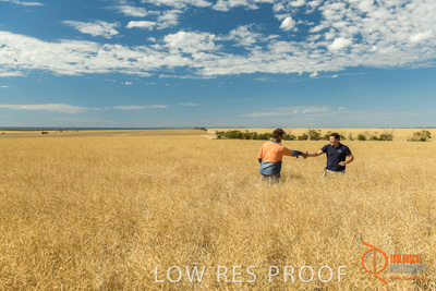 November 2017 / HARVEST_TUMBY_AM_154_171121_TRP5783