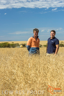 November 2017 / HARVEST_TUMBY_AM_159_171121_TRP8490