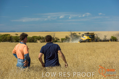 November 2017 / HARVEST_TUMBY_AM_167_171121_TRP8500