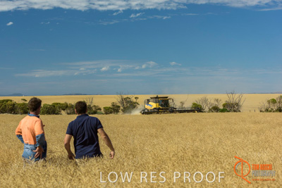 November 2017 / HARVEST_TUMBY_AM_168_171121_TRP8501