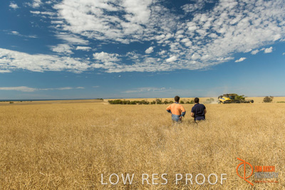 November 2017 / HARVEST_TUMBY_AM_177_171121_TRP5788