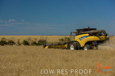 November 2017 / HARVEST_TUMBY_AM_180_171121_TRP8510