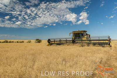 November 2017 / HARVEST_TUMBY_AM_181_171121_TRP5793