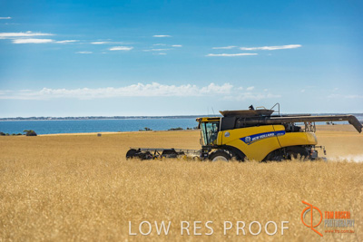 November 2017 / HARVEST_TUMBY_AM_188_171121_TRP8515