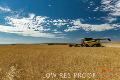 November 2017 / HARVEST_TUMBY_AM_196_171121_TRP5811