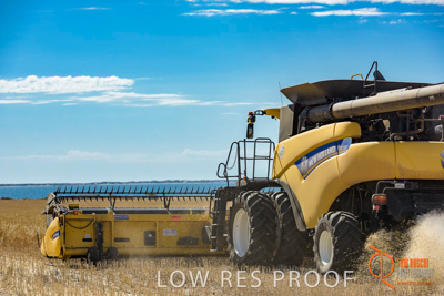 November 2017 / HARVEST_TUMBY_AM_200_171121_TRP8529