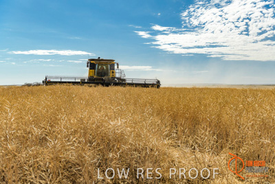 November 2017 / HARVEST_TUMBY_AM_203_171121_TRP5817