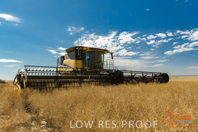 November 2017 / HARVEST_TUMBY_AM_208_171121_TRP5829