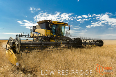 November 2017 / HARVEST_TUMBY_AM_209_171121_TRP5830