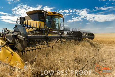 November 2017 / HARVEST_TUMBY_AM_216_171121_TRP5837