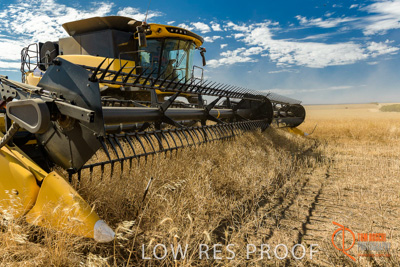 November 2017 / HARVEST_TUMBY_AM_218_171121_TRP5839