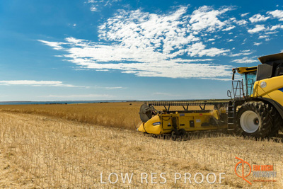 November 2017 / HARVEST_TUMBY_AM_225_171121_TRP5852