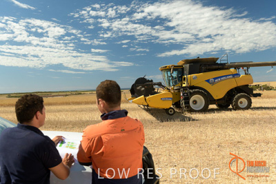 November 2017 / HARVEST_TUMBY_AM_256_171121_TRP5912