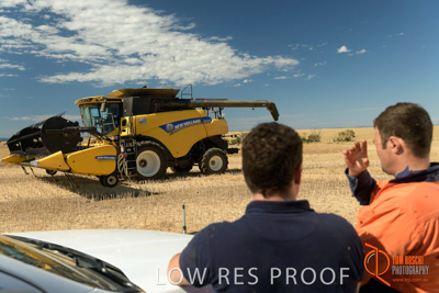 November 2017 / HARVEST_TUMBY_AM_262_171121_TRP5921