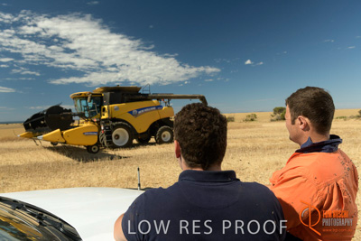 November 2017 / HARVEST_TUMBY_AM_269_171121_TRP5928