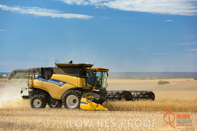 November 2017 / HARVEST_TUMBY_AM_270_171121_TRP8551