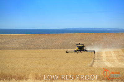 November 2017 / HARVEST_TUMBY_AM_293_171121_TRP5950