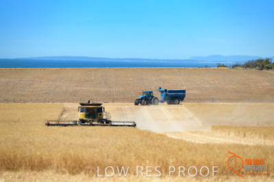 November 2017 / HARVEST_TUMBY_AM_299_171121_TRP5960