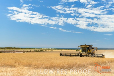 November 2017 / HARVEST_TUMBY_AM_308_171121_TRP5973