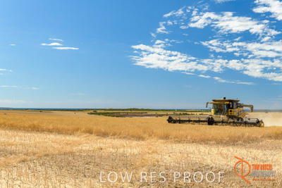 November 2017 / HARVEST_TUMBY_AM_312_171121_TRP5981