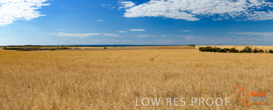 November 2017 / HARVEST_TUMBY_AM_PANO_01_009_171121_TRP5620-Pano