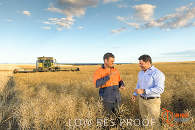 November 2017 / HARVEST_TUMBY_PM_030_171121_TRP6621