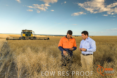 November 2017 / HARVEST_TUMBY_PM_034_171121_TRP6629