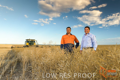 November 2017 / HARVEST_TUMBY_PM_040_171121_TRP6640