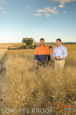 November 2017 / HARVEST_TUMBY_PM_052_171121_TRP6665