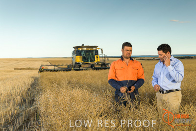 November 2017 / HARVEST_TUMBY_PM_053_171121_TRP6666