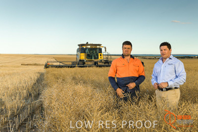 November 2017 / HARVEST_TUMBY_PM_054_171121_TRP6667