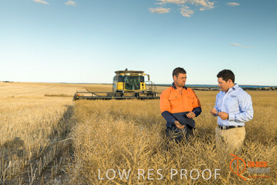 November 2017 / HARVEST_TUMBY_PM_055_171121_TRP6669