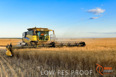 November 2017 / HARVEST_TUMBY_PM_087_171121_TRP6693