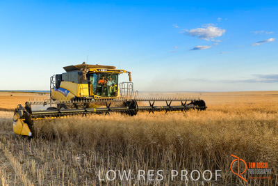 November 2017 / HARVEST_TUMBY_PM_089_171121_TRP6695