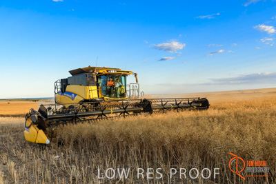 November 2017 / HARVEST_TUMBY_PM_091_171121_TRP6697