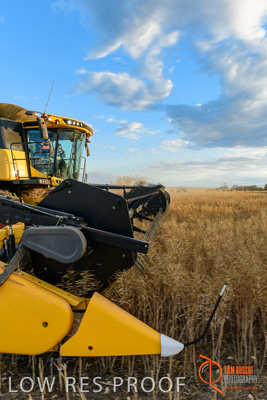 November 2017 / HARVEST_TUMBY_PM_101_171121_TRP6710