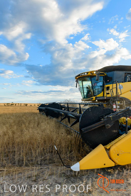 November 2017 / HARVEST_TUMBY_PM_103_171121_TRP6714