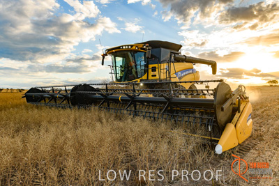 November 2017 / HARVEST_TUMBY_PM_122_171121_TRP6745