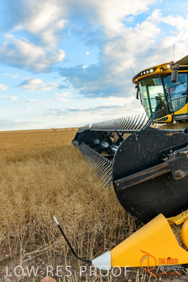 November 2017 / HARVEST_TUMBY_PM_129_171121_TRP6759