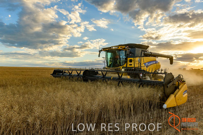 November 2017 / HARVEST_TUMBY_PM_131_171121_TRP6765