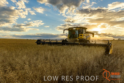 November 2017 / HARVEST_TUMBY_PM_134_171121_TRP6771