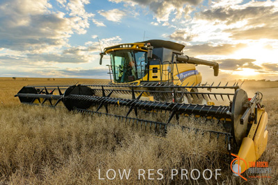 November 2017 / HARVEST_TUMBY_PM_136_171121_TRP6774