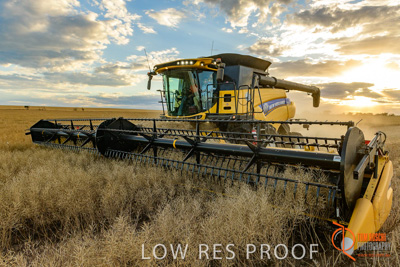 November 2017 / HARVEST_TUMBY_PM_137_171121_TRP6776