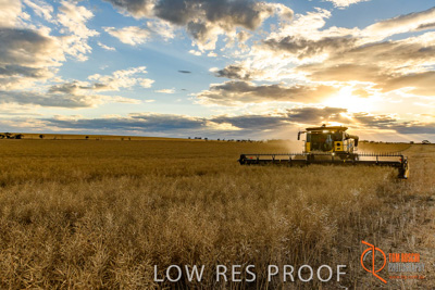 November 2017 / HARVEST_TUMBY_PM_139_171121_TRP6781