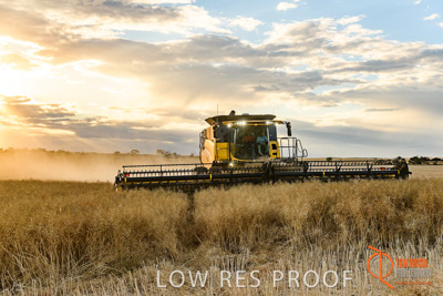 November 2017 / HARVEST_TUMBY_PM_144_171121_TRP6786