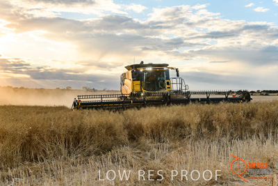 November 2017 / HARVEST_TUMBY_PM_145_171121_TRP6788