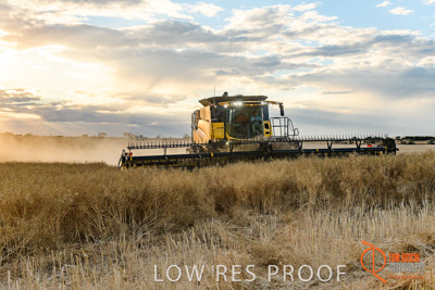 November 2017 / HARVEST_TUMBY_PM_146_171121_TRP6789