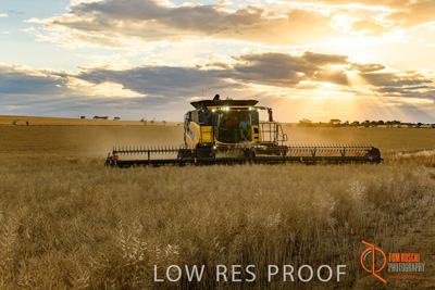 November 2017 / HARVEST_TUMBY_PM_152_171121_TRP6792