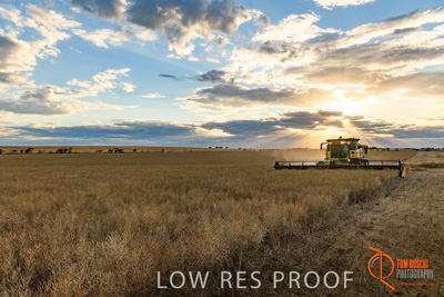 November 2017 / HARVEST_TUMBY_PM_157_171121_TRP6797